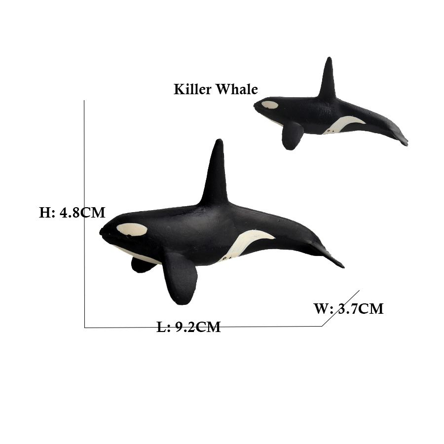 Marine Animals Toy Megalodon B - Kids Toys Reviews recension och pris